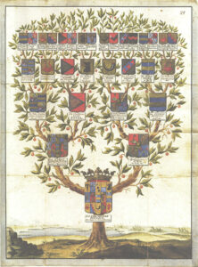 Genosociogramme, arbre généalogique familial