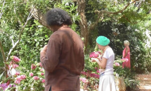 Des femmes et des hommes méditent avec les fleurs, communiquent avec elles dans le Gaiä's Garden
