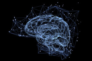 Neuroplasticité du cerveau et sa capacité de régénération constante