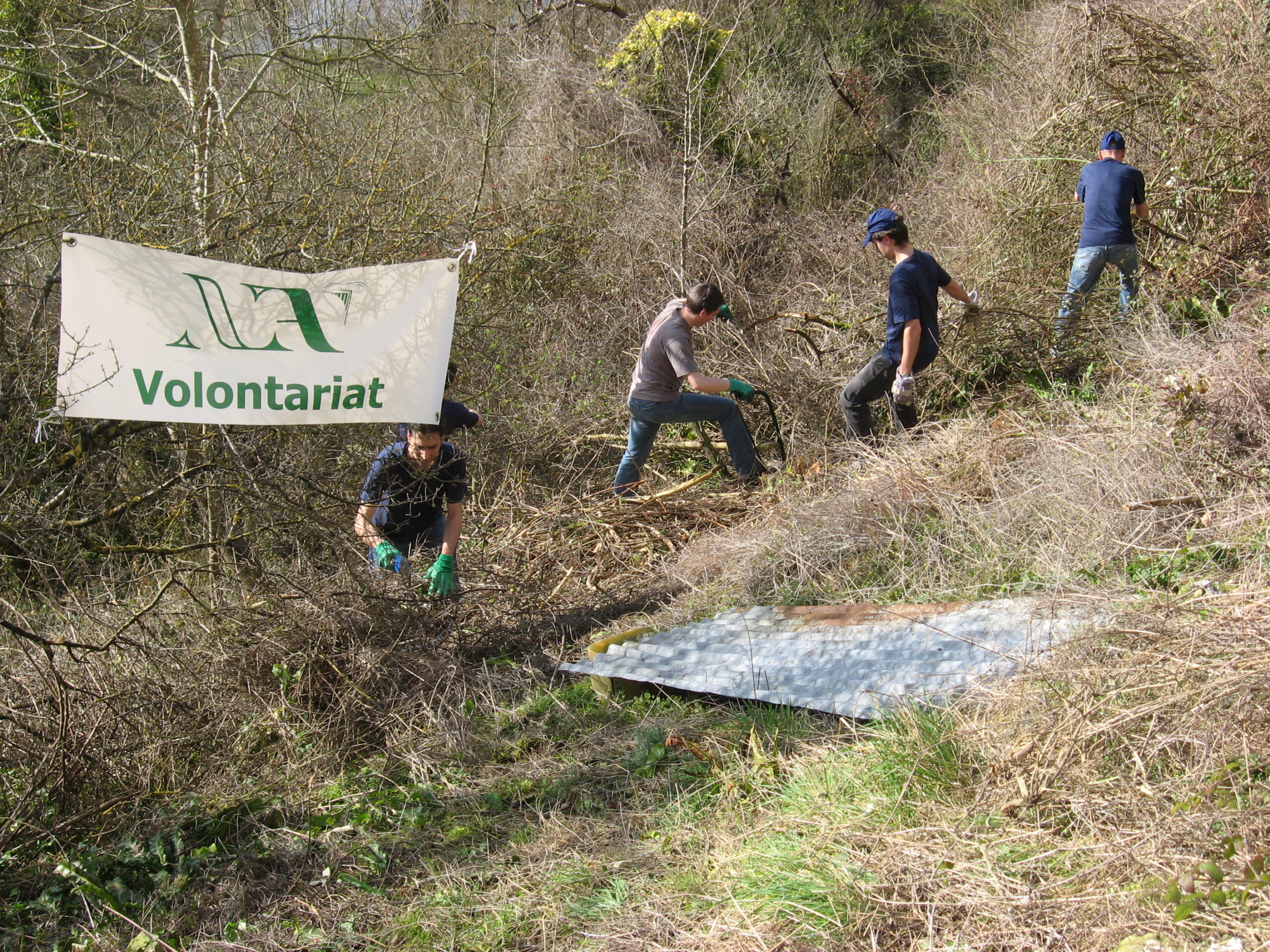 Les volontaires de Nouvelle Acropole Rouen se sont associés au Club alpiniste de Haute Normandie pour préserver les Roches de Connelles